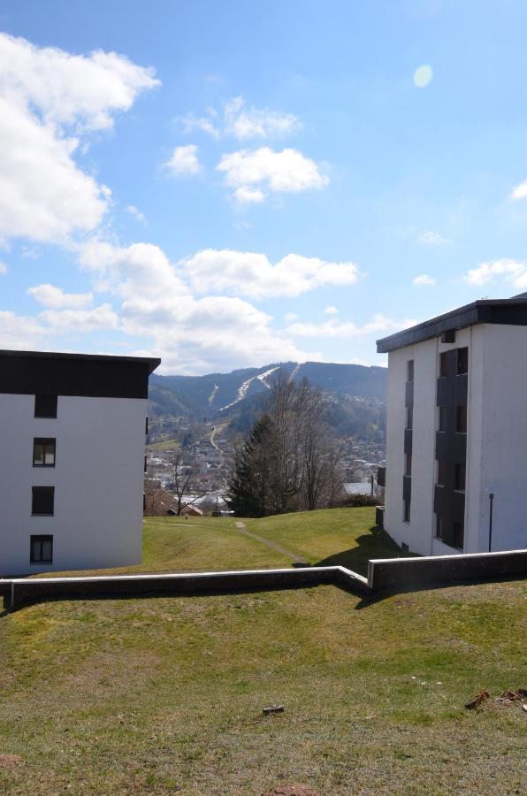 Gite Les Dryades Gérardmer Exteriér fotografie