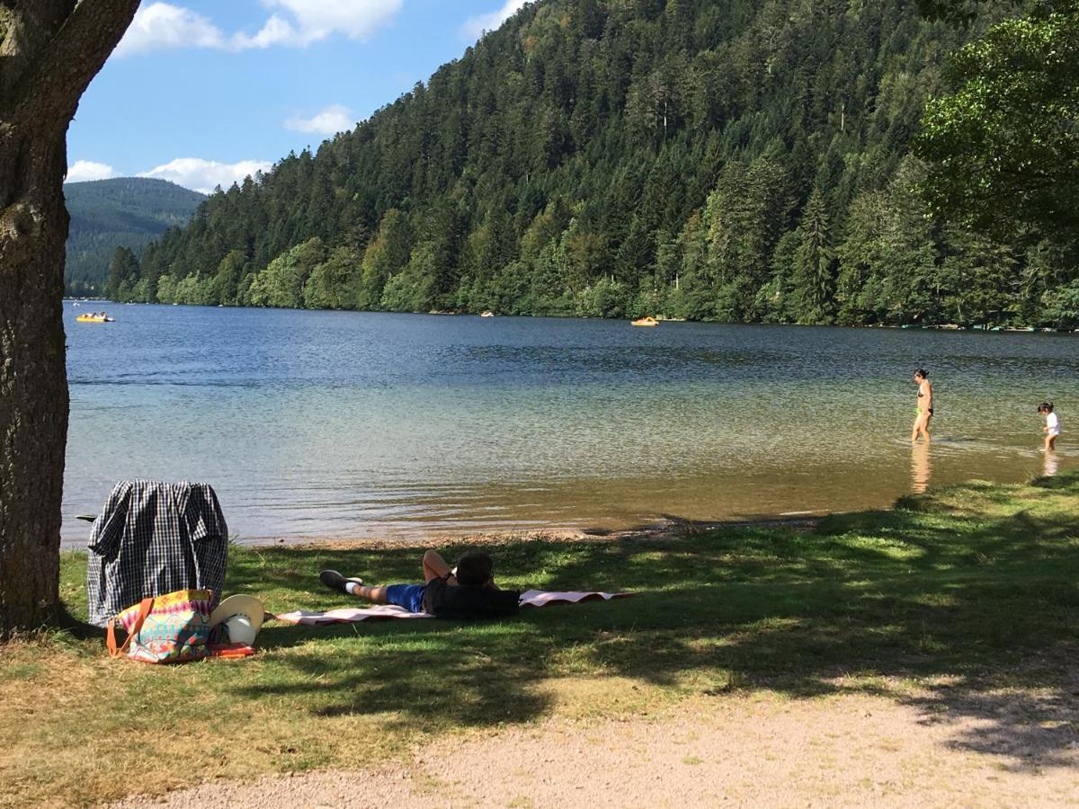 Gite Les Dryades Gérardmer Exteriér fotografie
