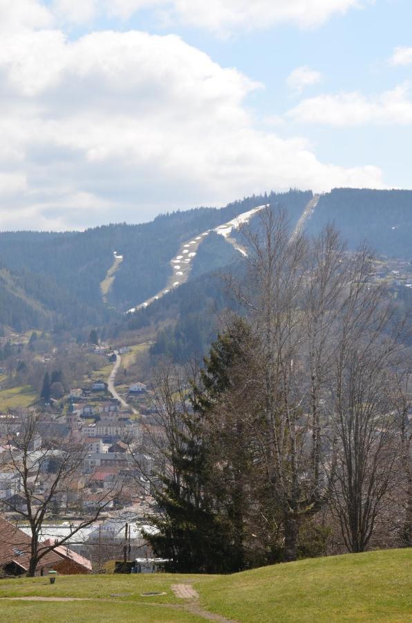 Gite Les Dryades Gérardmer Exteriér fotografie